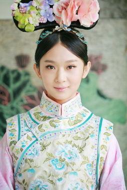 娱乐圈的满族,娱乐圈中的满族风采