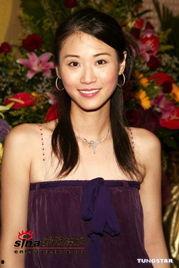 香港电视明星,璀璨星空下的香港影视巨星风采