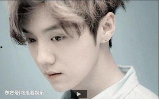 男明星生理反应 鹿晗,生理反应下的明星魅力