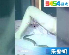 女主播琪琪琪琪视频