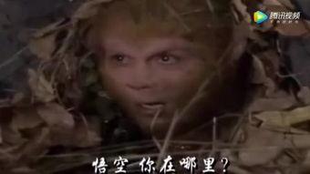 西游记骂人版搞笑视频,唐僧师徒的爆笑骂战记