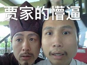 筹图专用表情包,趣味横生的视觉盛宴