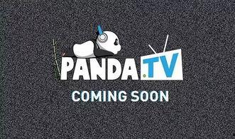 熊猫tv托尼钱背景