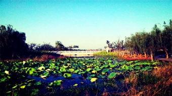 徐州潘安湖图片,徐州水乡画卷一瞥