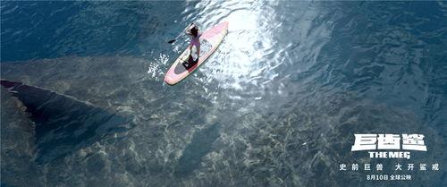 巨齿鲨资料视频,深海霸主的历史与揭秘