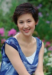 云南电视女主播徐安妮,魅力绽放的荧屏之星